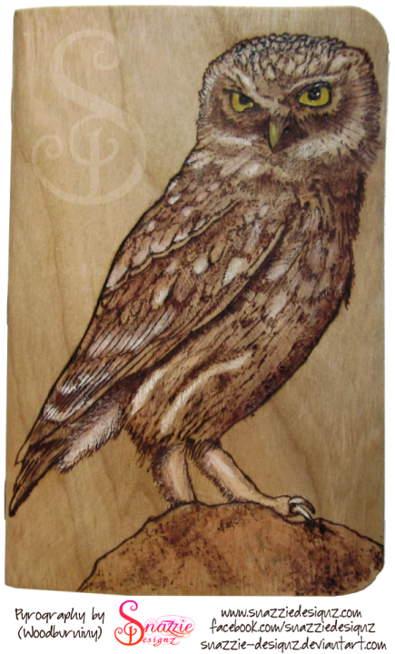 Owl Pyrograph FieldNotes Notebook