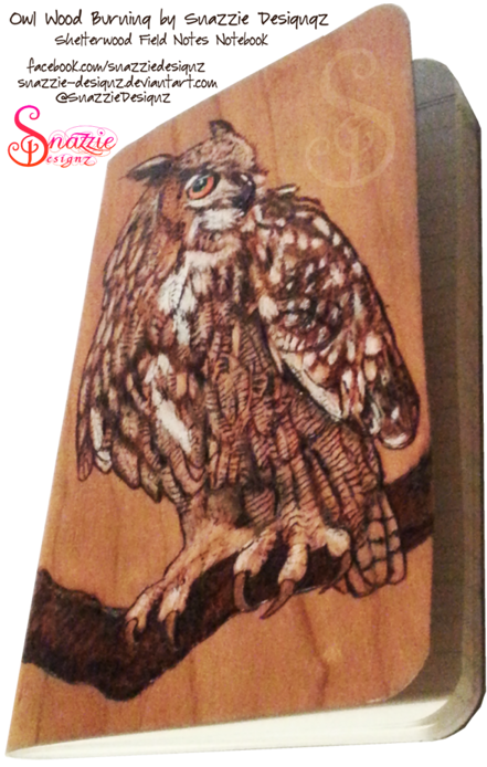 Owl Pyrograph Field Notes Notebook