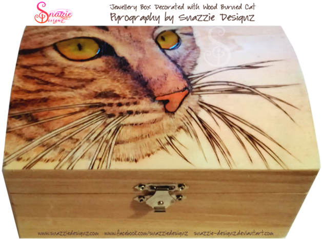Hand Decorated Cat Jewellery Box by Snazzie Designz