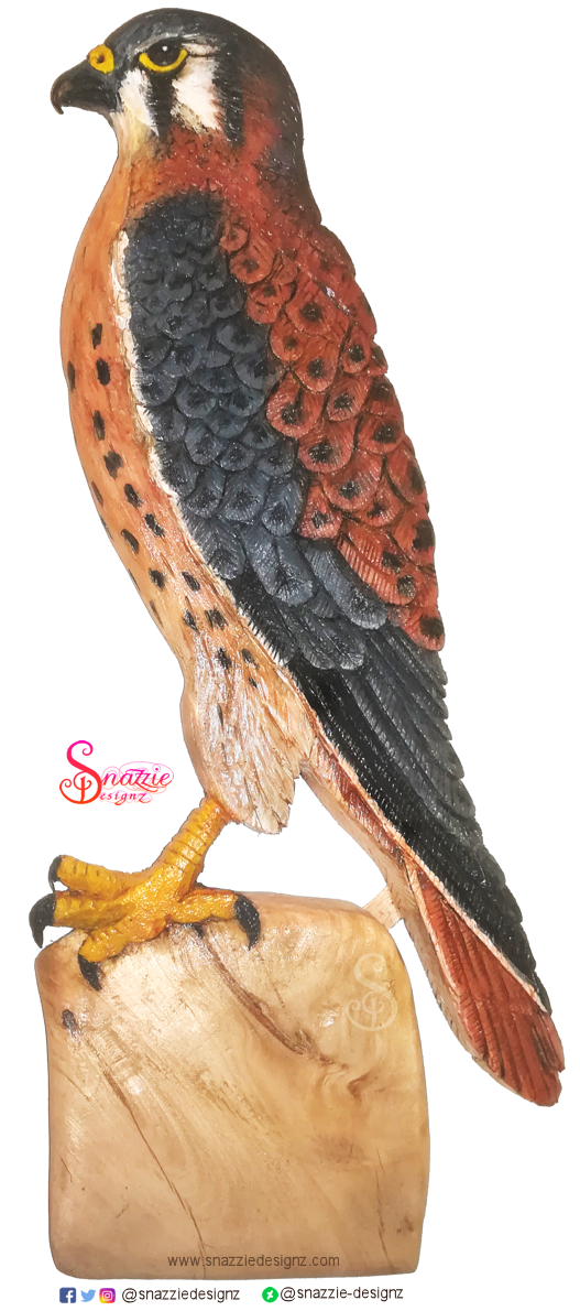 Handmade American Kestrel Pyrograph and Carving by snazzie-designz