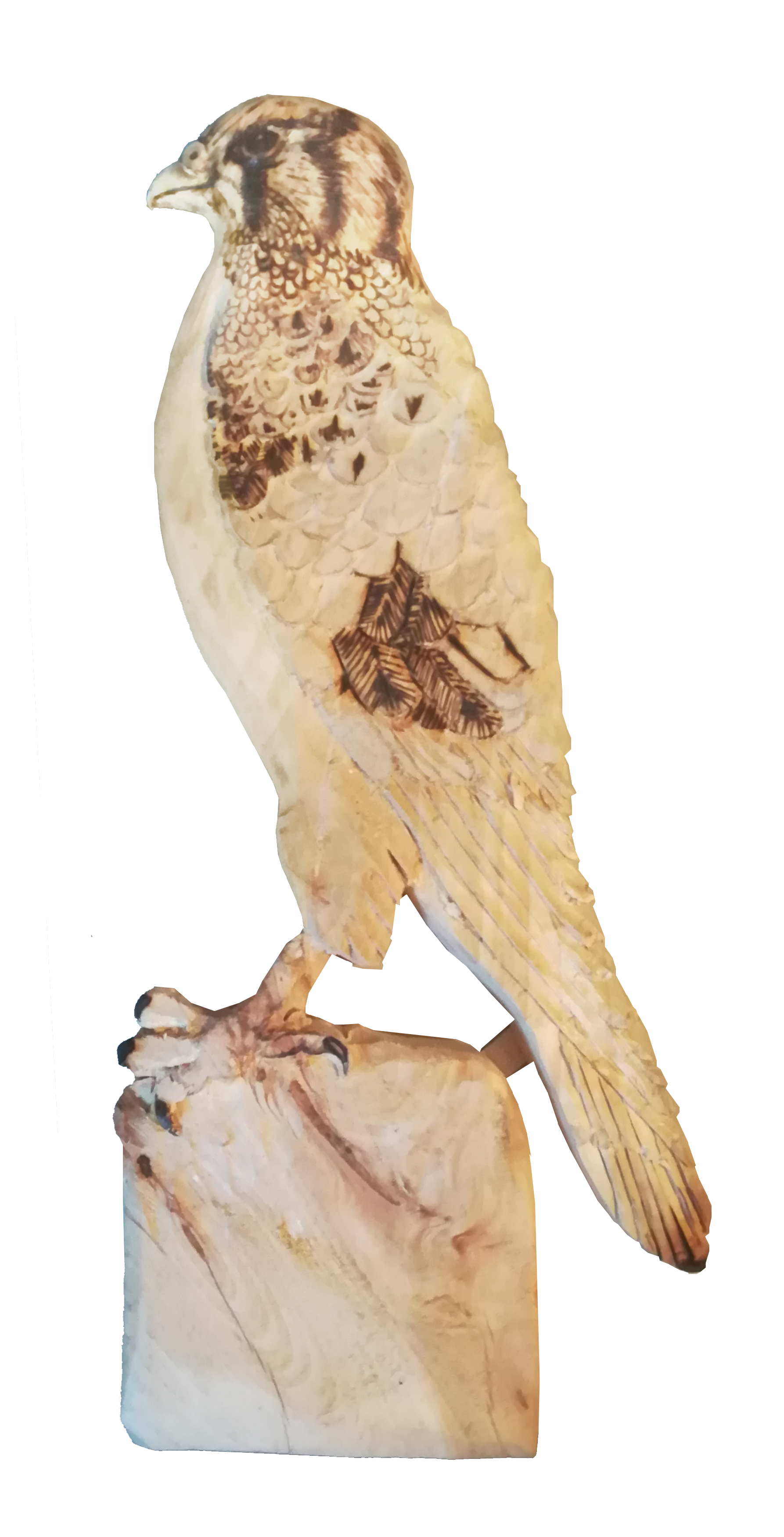 Handmade American Kestrel Pyrograph and Carving by snazzie-designz