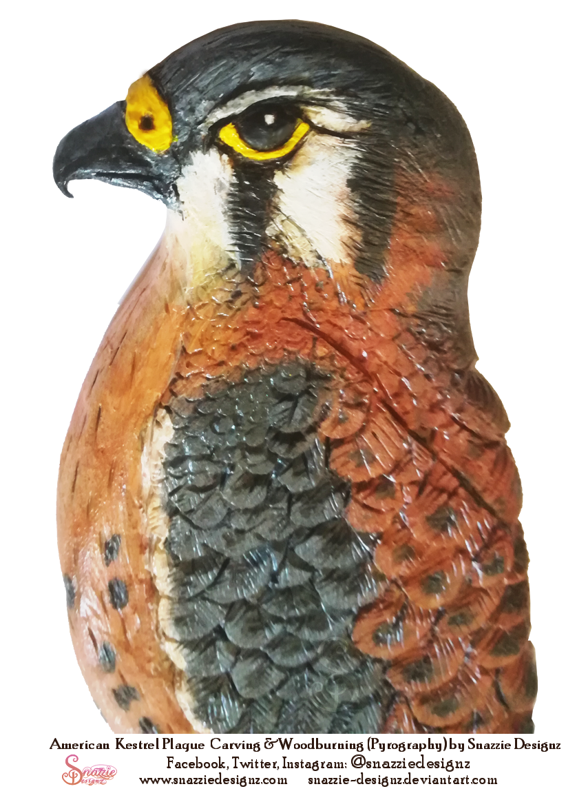 American Kestrel Wood Carving Pyrography Plaque Handmade by snazzie-designz